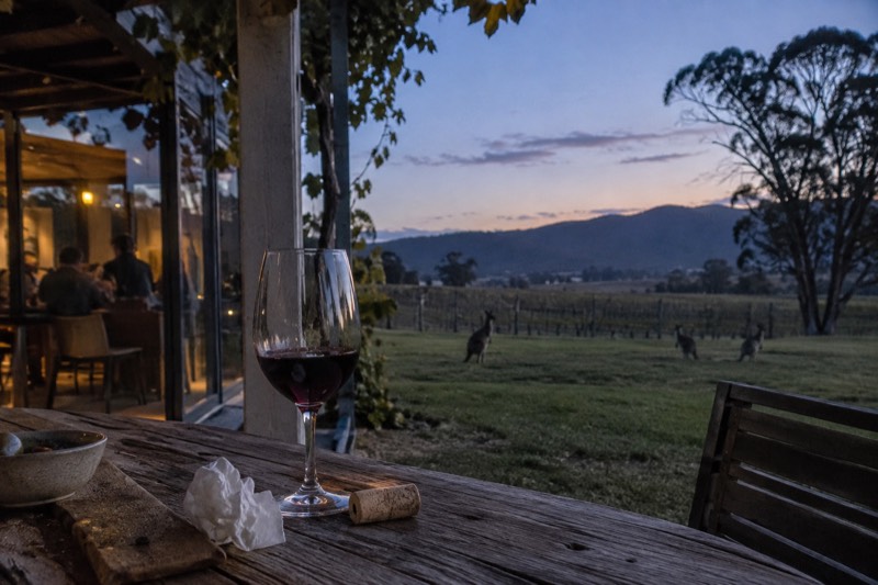 Afternoon Tastings, Kangaroos At Dusk