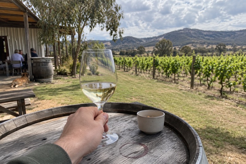 Melbourne: Yarra Valley Half-Day Wine Tour with a Small Group