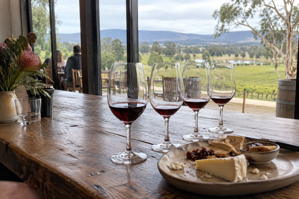 A cellar door tasting bench with glasses of red wine poured in a Yarra Valley winery
