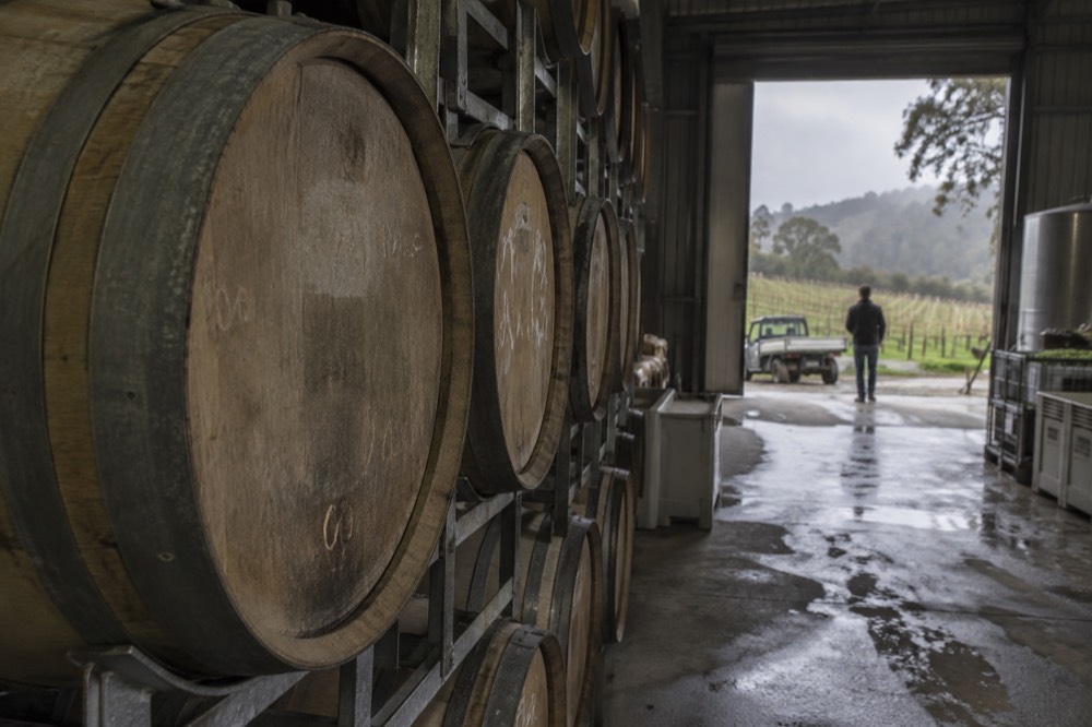 Oak barrels stacked in the cool interior of a winery maturation shed