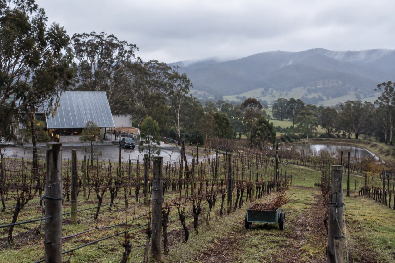 Rows of grapevines on a hillside above a winery building in the Yarra Valley