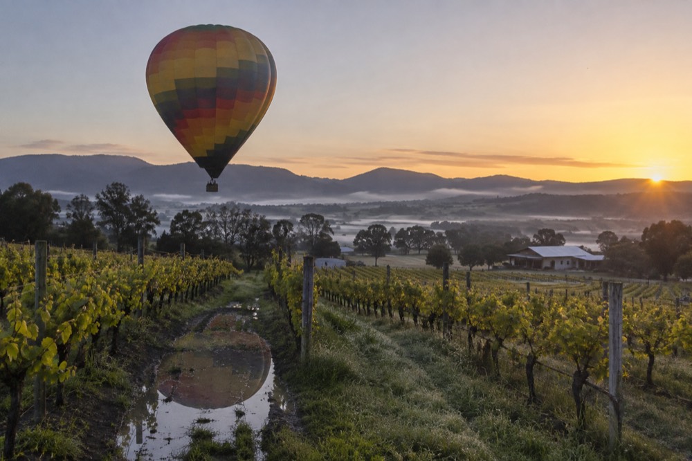 Hot air balloon drifting low over vineyards at sunrise