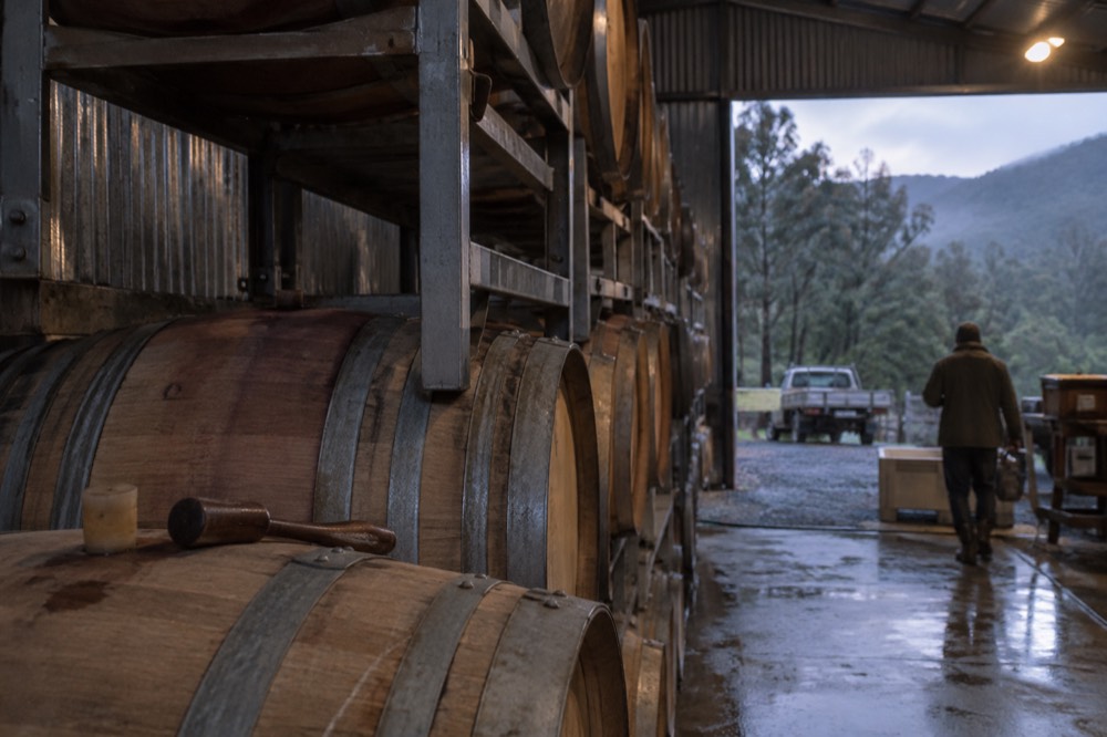 Oak barrels stacked in a cool winery shed