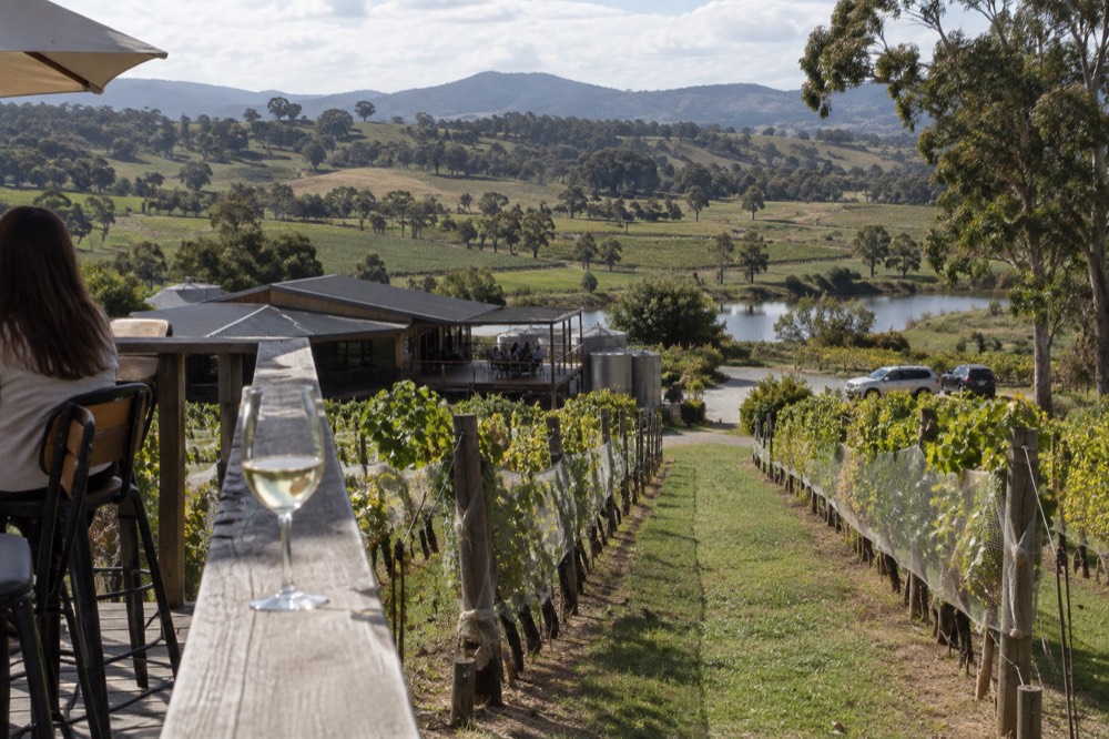 Vineyard rows sloping down toward a cellar door building with an open tasting deck
