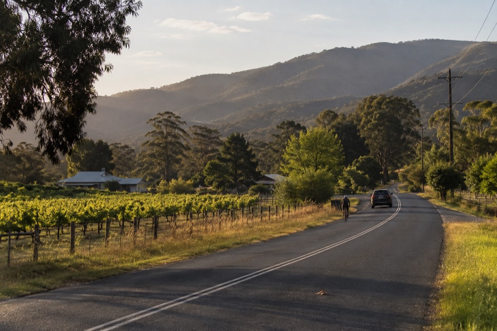A quiet country road winding past farmland and vineyards toward forested hills