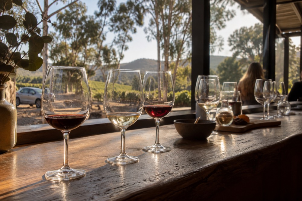 A cellar door tasting counter with glasses of red and white wine arranged along a wooden bar