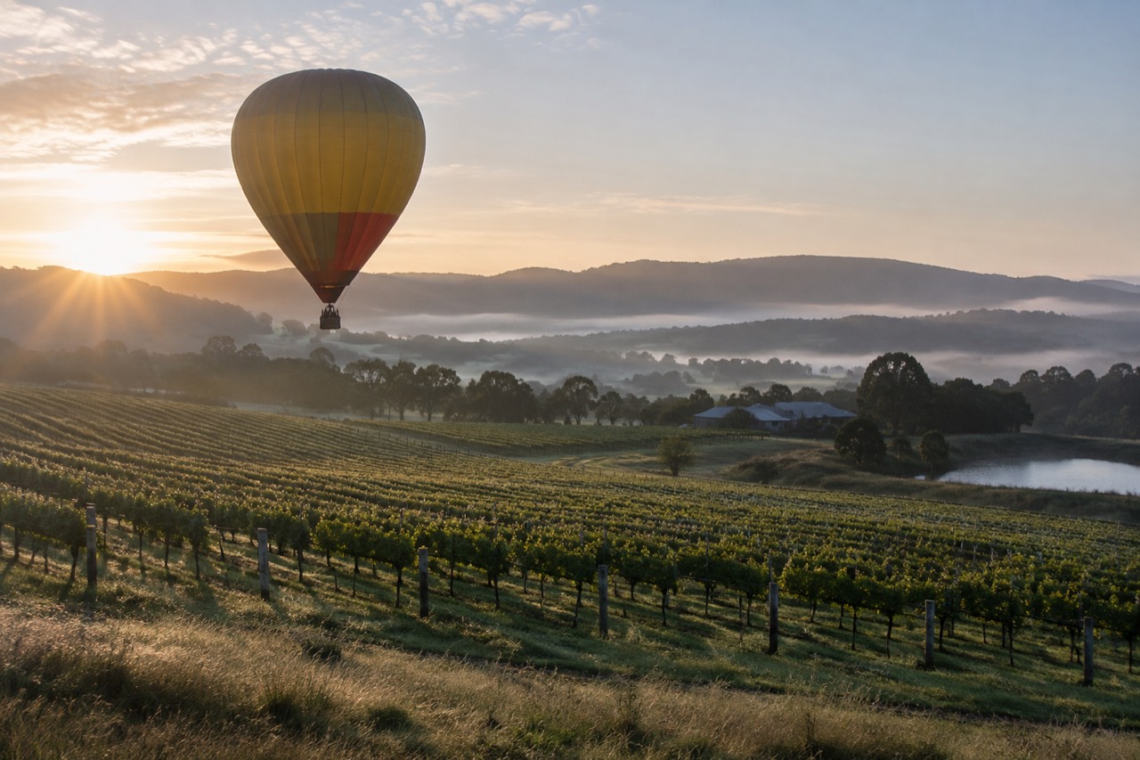 A hot air balloon drifting low over Yarra Valley vineyards in soft early morning light, with rows of vines and low hills behind it