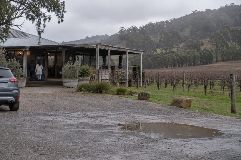 A cellar door building beside vines with hills behind it