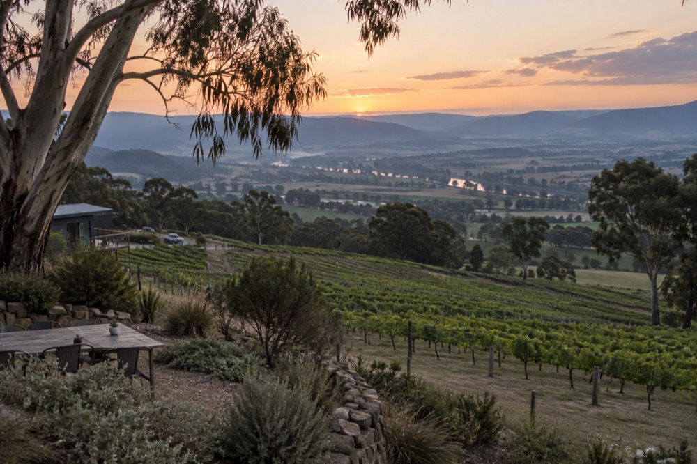 Vineyard rows sloping down toward a river valley with hills in the background