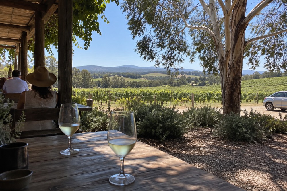 A shaded cellar door terrace overlooking summer vineyard rows
