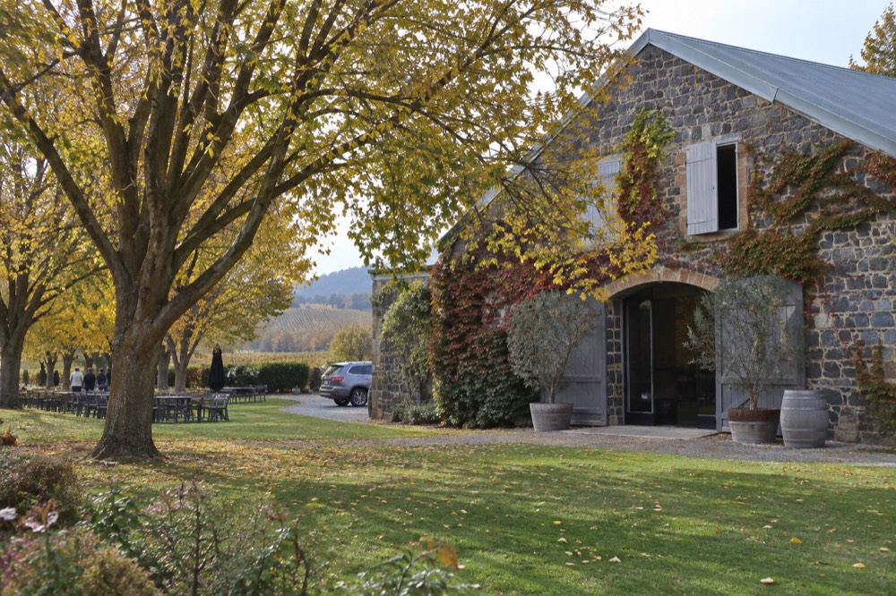 An old stone winery building beside tall elm trees on a green lawn