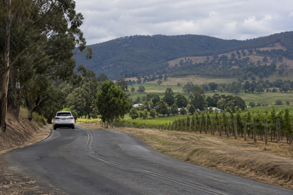 A narrow country road curving between vineyard rows and green hills in the Yarra Valley