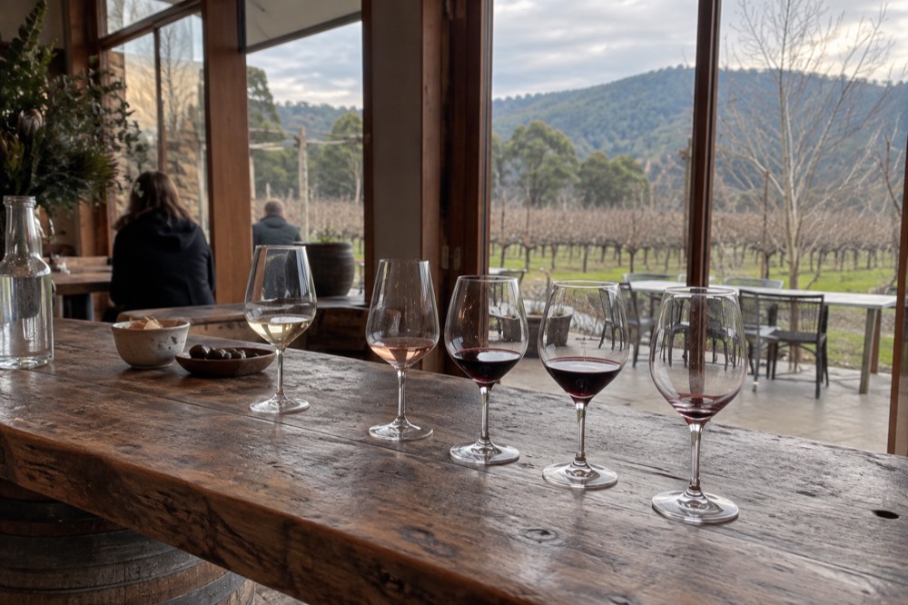A tasting flight of wines lined up on a timber cellar door bar overlooking the vines