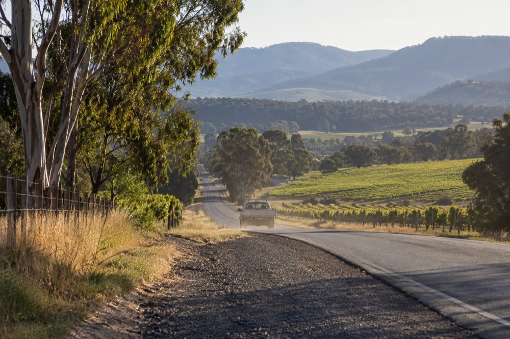 A country road winding between vineyards toward distant hills