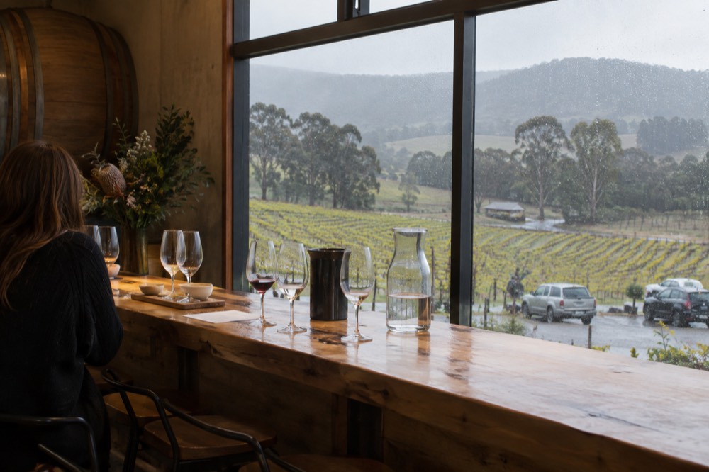 A long wooden tasting bar with wine glasses lined up in front of a window overlooking vineyards