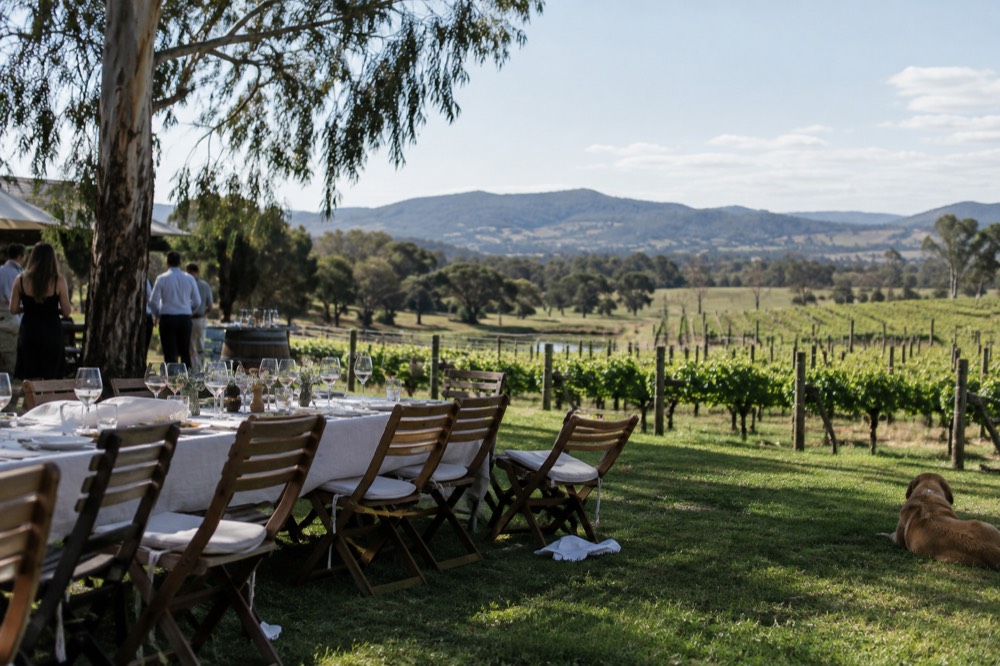 A long lunch table set with white linen and wine glasses on a lawn beside a vineyard