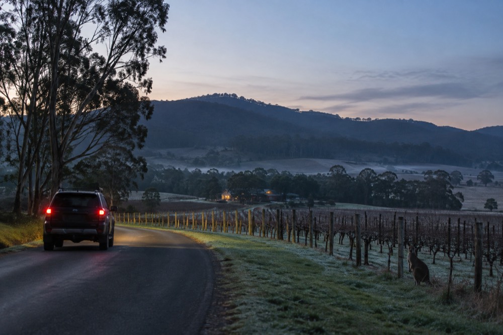 A country road curving between vineyards toward distant hills